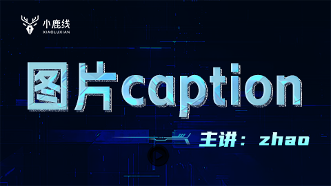 图片caption